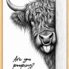 Funny Highland Cow Bathroom Wall Art